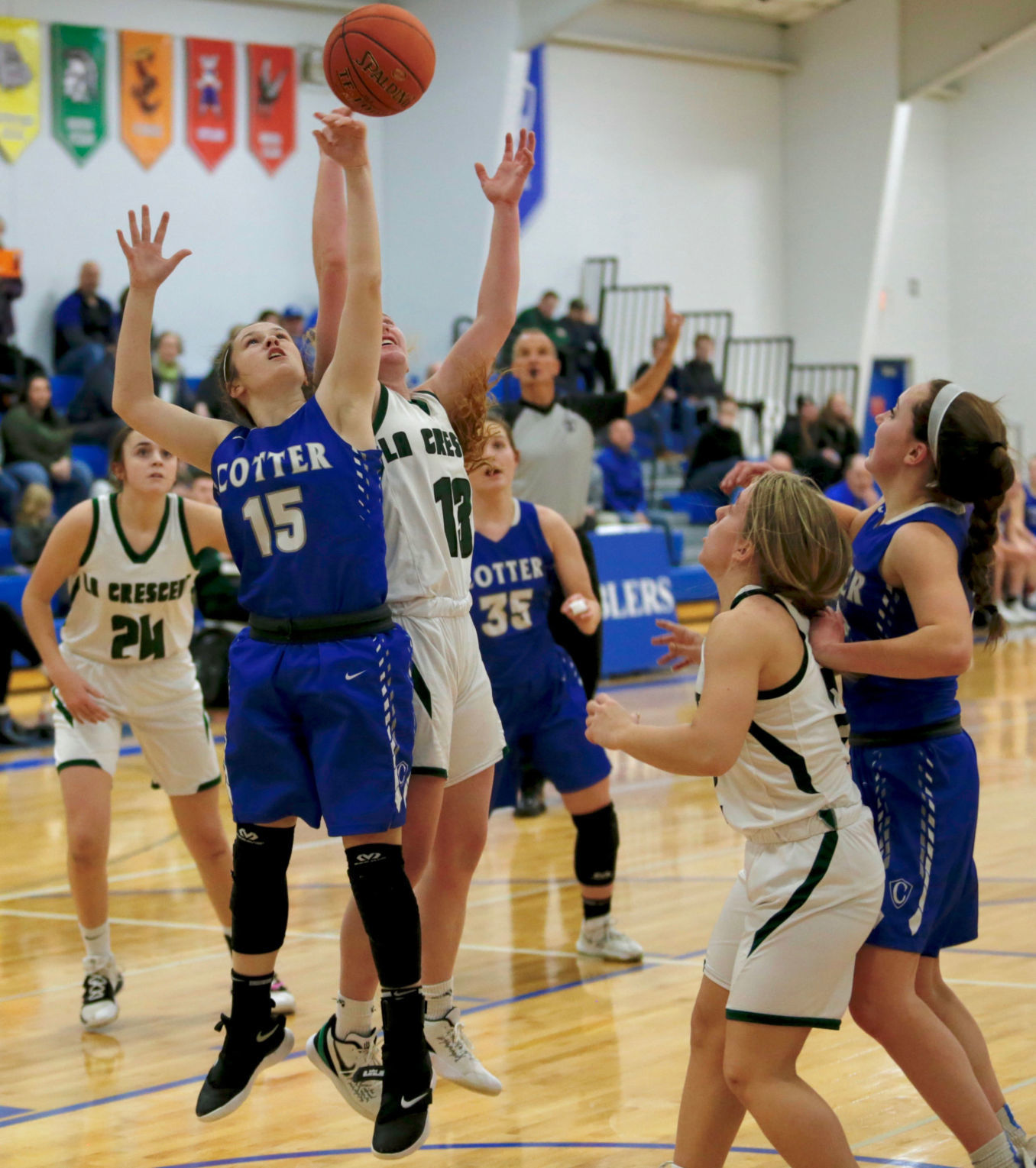 Cotter girls playoff basketball vs La Crescent-Hokah